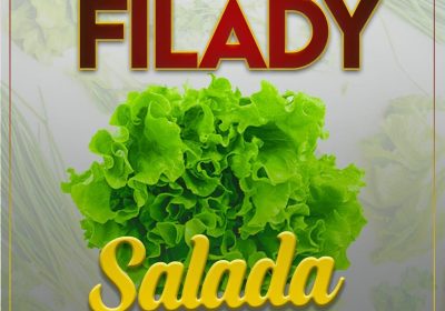 Filady pede socorro sob alimentação saudável na música “Salada”