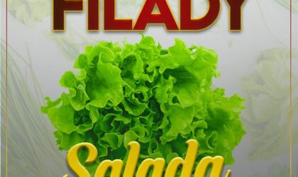 Filady pede socorro sob alimentação saudável na música “Salada”