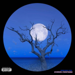 Chriis Fontana - Blue Grave