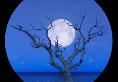 Chriis Fontana lança o álbum “Blue Grave”