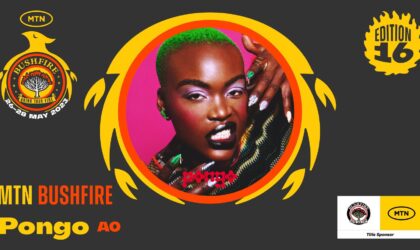 MTN BushFire Festival 2023