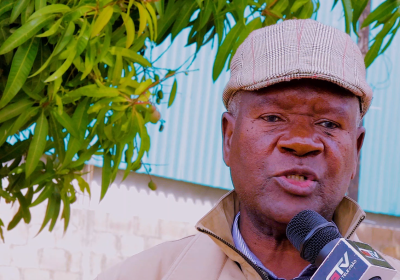 “Os músicos têm direito de terem carteira profissional” – Aníbal Matine