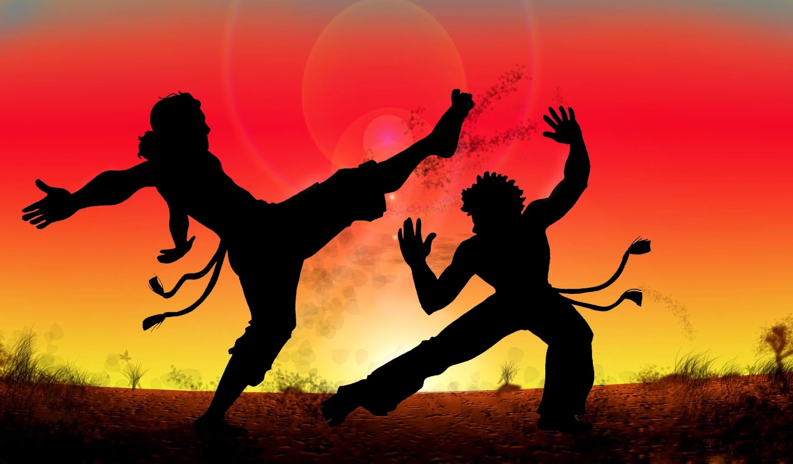 Celebração dos 25 Anos da Capoeira em Moçambique: Tributo à Mestra Marina