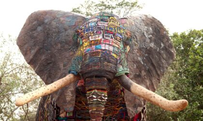 Madala, o Elefante da Esperança, chega a Maputo para uma exposição no Franco