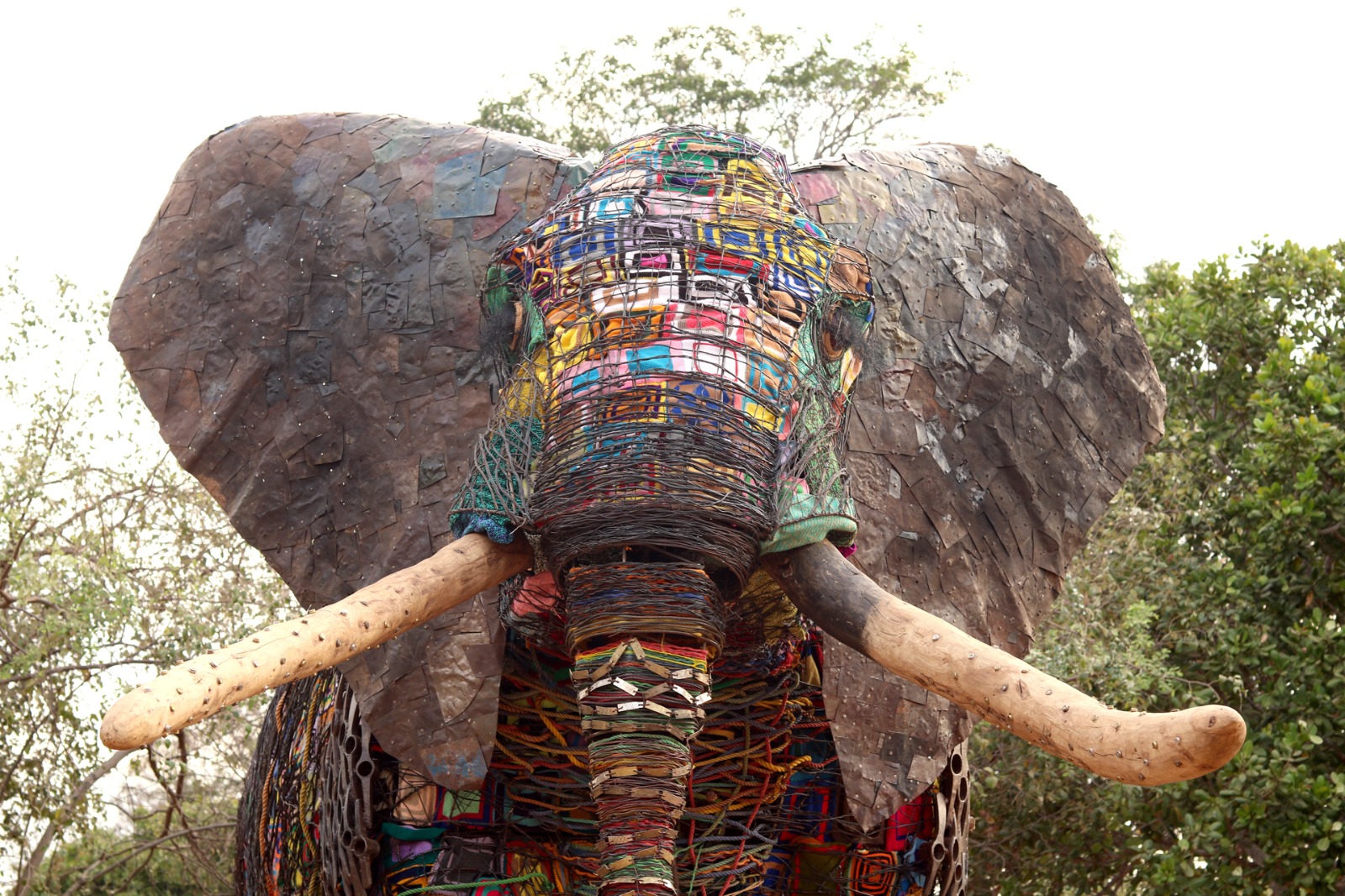 Madala, o Elefante da Esperança, chega a Maputo para uma exposição no Franco