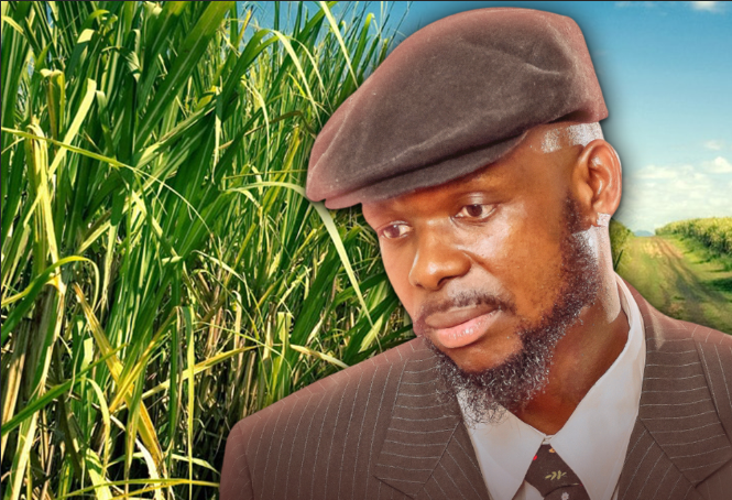 Mr. Bow tentou desistir da música para trabalhar na fábrica de açúcar em Xinavane