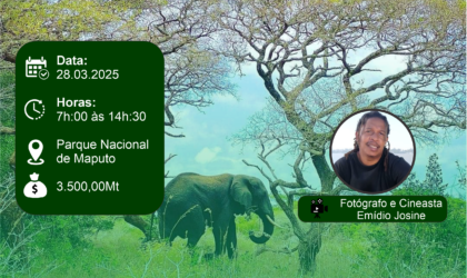 Parque Nacional de Maputo recebe curso de Fotografia e Filmagem de Vida Selvagem