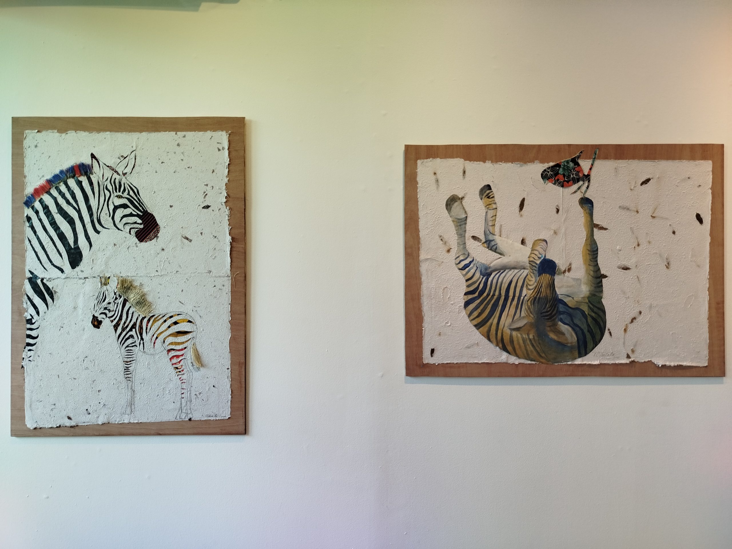 Tchalata inaugura exposição “Guardião da Natureza – Educar para Ser” na Fundação Fernando Leite Couto