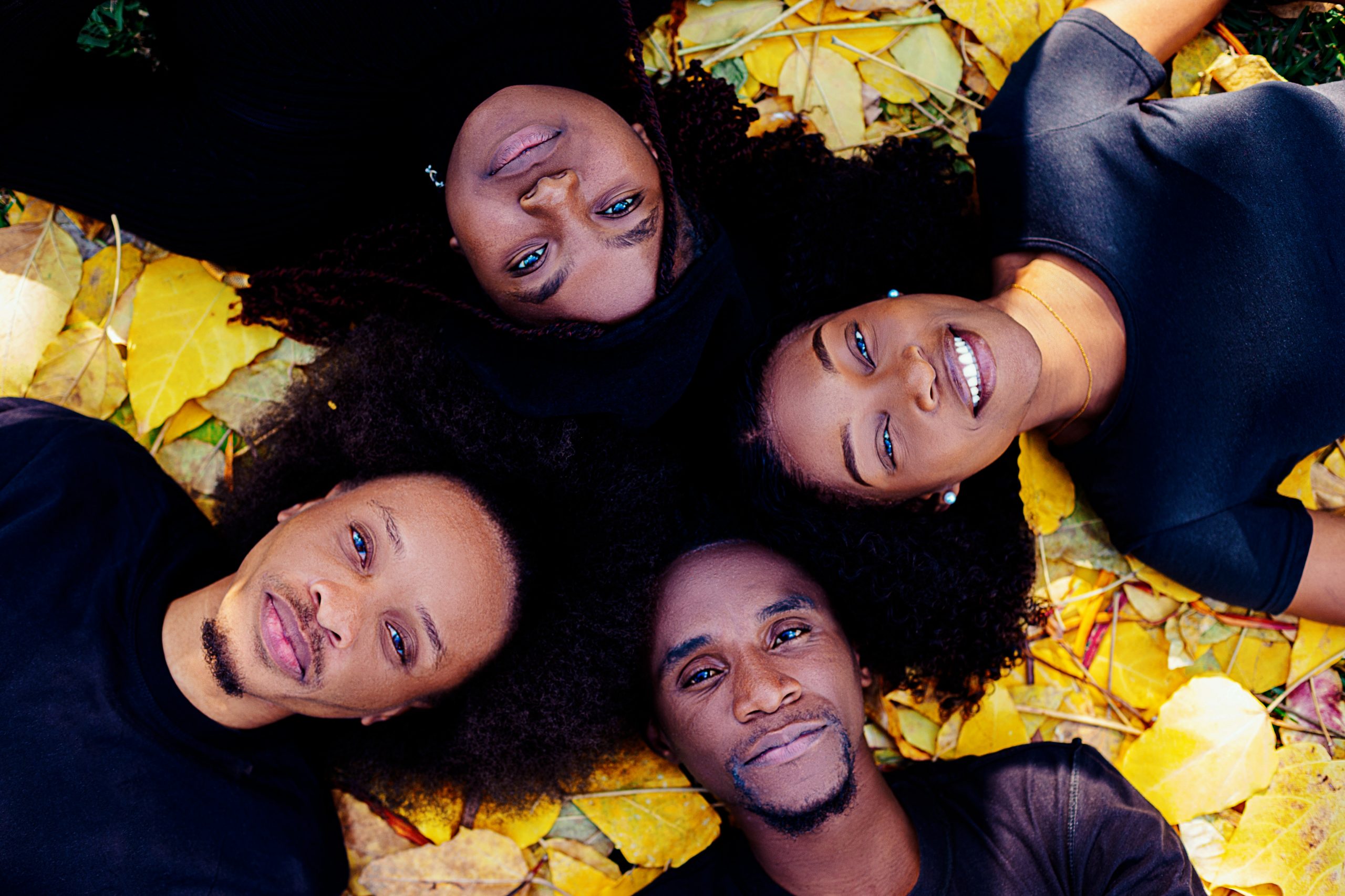 Quatro vozes, uma alma: nasce “Poesia da Minha Terra”, uma celebração da identidade moçambicana