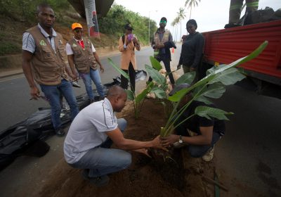 Município de Maputo e Khuzula assinalam o Dia da Paz com acção de plantio na Marginal
