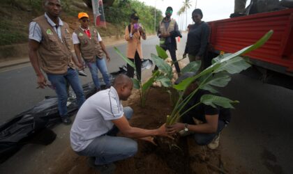 Município de Maputo e Khuzula assinalam o Dia da Paz com acção de plantio na Marginal