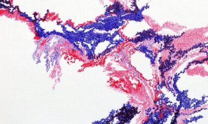 Ciro Pereira expõe sua nova obra de artes plásticas “Prata da casa”