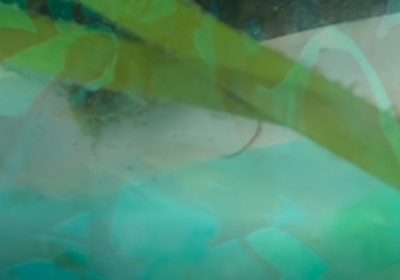 Museu da Ilha de Moçambique acolhe exposição “SUPEO” com a artista Sally Gutiérrez