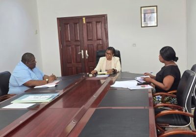 Matilde Muocha encoraja o Núcleo D’arte a reforçar a sua acção de promoção e protecção dos seus associados