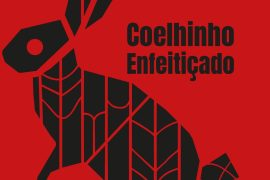 Marracuene acolhe lançamento de “Coelhinho Enfeitiçado”, obra de Bora Chung traduzida por três criadoras moçambicanas